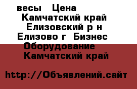 весы › Цена ­ 18 000 - Камчатский край, Елизовский р-н, Елизово г. Бизнес » Оборудование   . Камчатский край